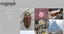 Desktop Screenshot of eugraph.com